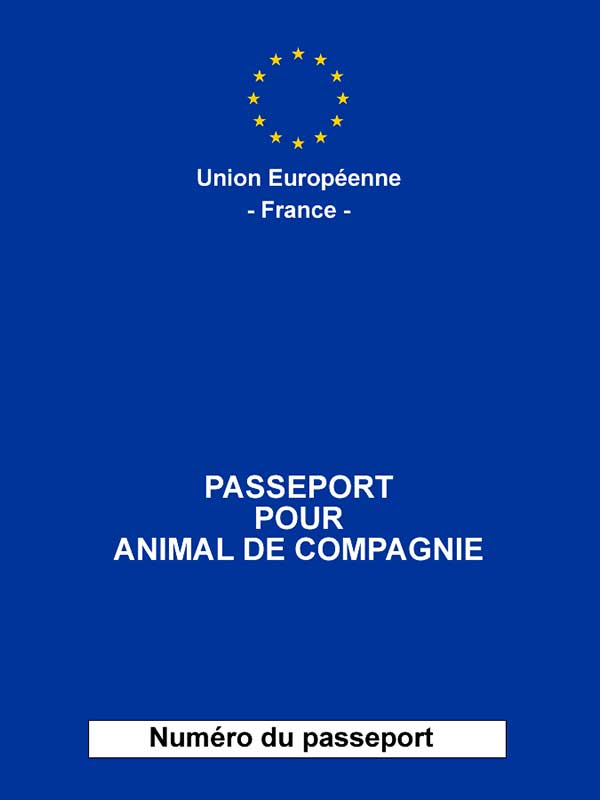 © ma-veto.fr | Cabinet vétérinaire à La Bouëxière