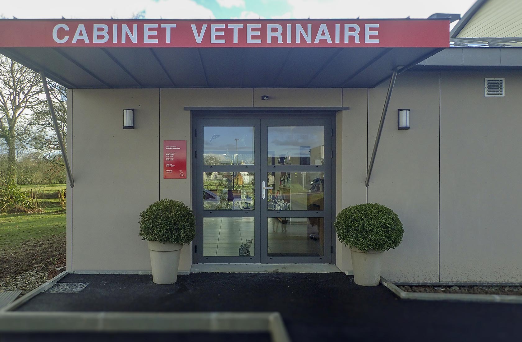 Près de Landavran | Cabinet vétérianire à La Bouëxière | ma-veto.fr